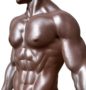 bodybuilder chest